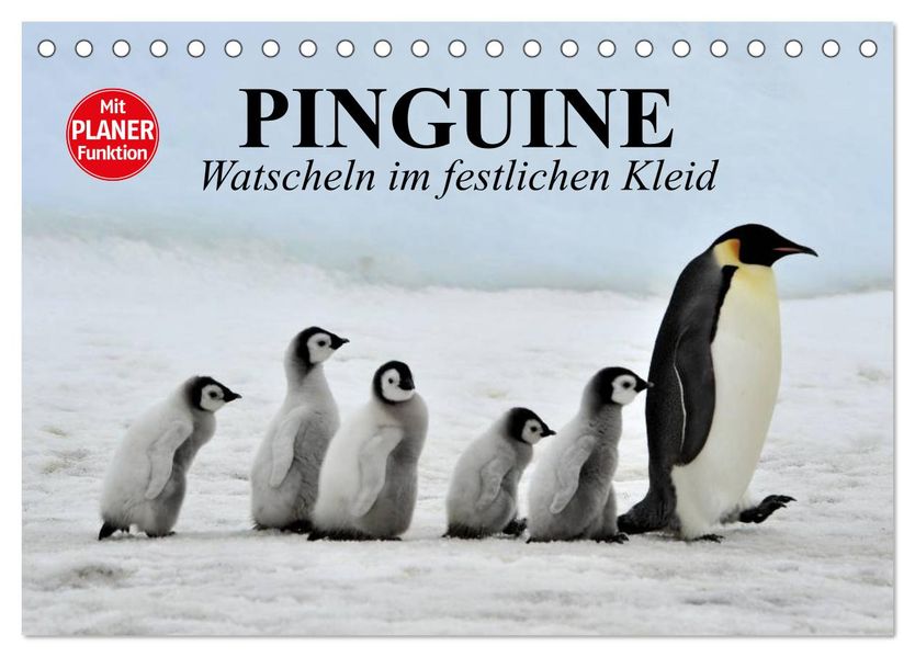 Pinguine - Watscheln im festlichen Kleid (Tischkalender 2027 DIN A5 quer) CALVENDO Monatskalender