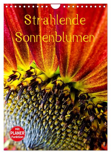 Strahlende Sonnenblumen (Wandkalender 2027 DIN A4 hoch) CALVENDO Monatskalender