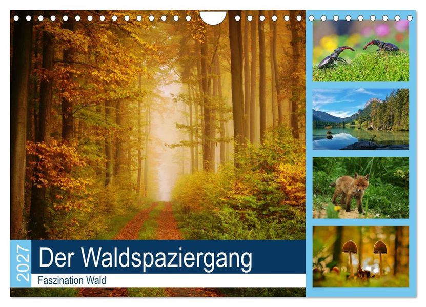 Der Waldspaziergang (Wandkalender 2027 DIN A4 quer) CALVENDO Monatskalender