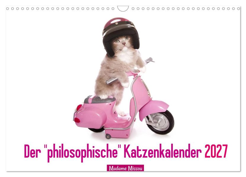 Der 'philosophische' Katzenkalender 2027 (Wandkalender 2027 DIN A3 quer) CALVENDO Monatskalender