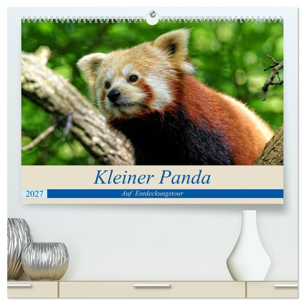 Kleiner Panda auf Entdeckungstour (hochwertiger Premium Wandkalender 2027 DIN A2 quer) Kunstdruck in Hochglanz
