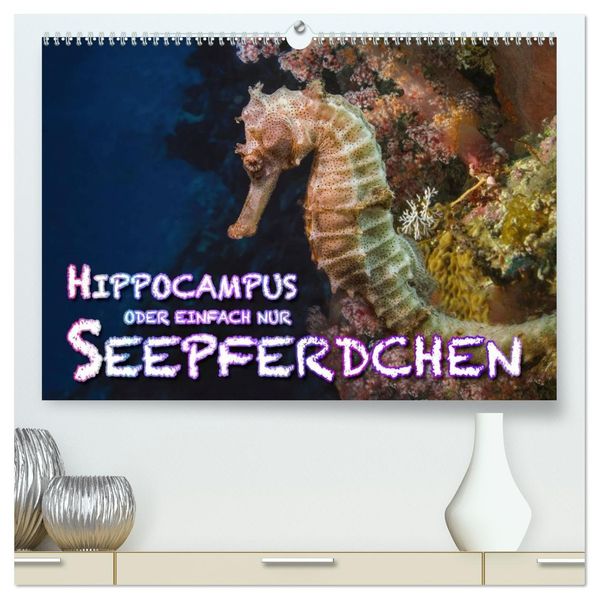 Hippocampus oder einfach nur Seepferdchen (hochwertiger Premium Wandkalender 2027 DIN A2 quer) Kunstdruck in Hochglanz