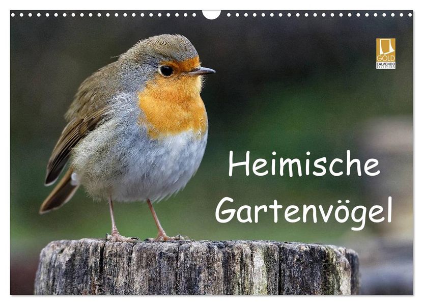 Heimische Gartenvögel (Wandkalender 2027 DIN A3 quer) CALVENDO Monatskalender