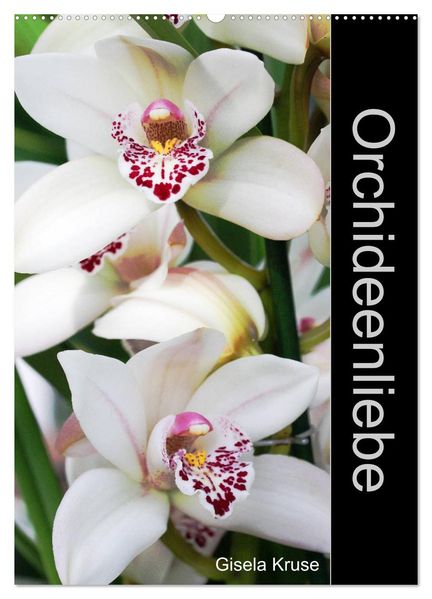 Orchideenliebe (Wandkalender 2027 DIN A2 hoch) CALVENDO Monatskalender