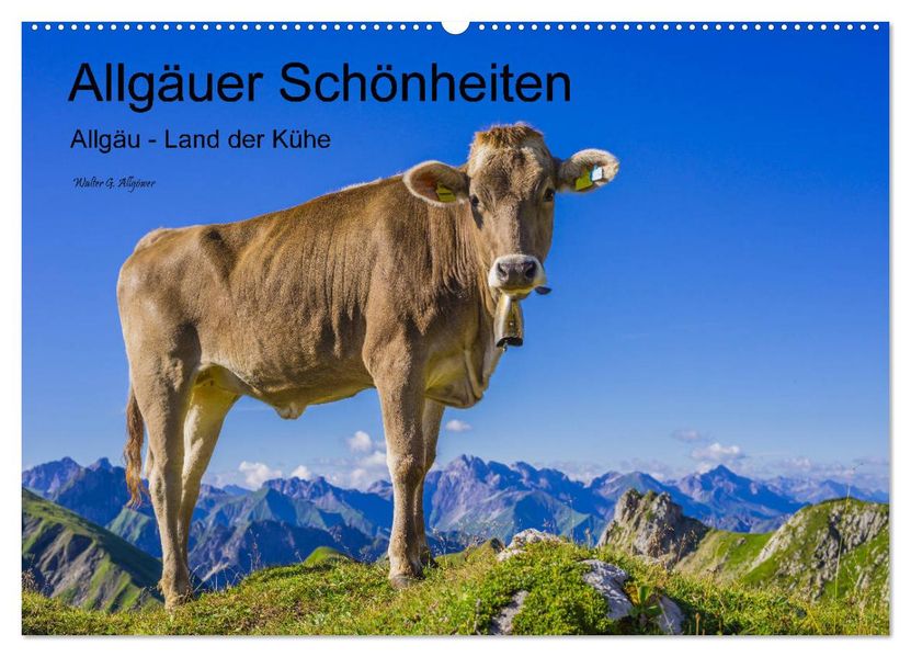 Allgäuer Schönheiten Allgäu - Land der Kühe (Wandkalender 2027 DIN A2 quer) CALVENDO Monatskalender