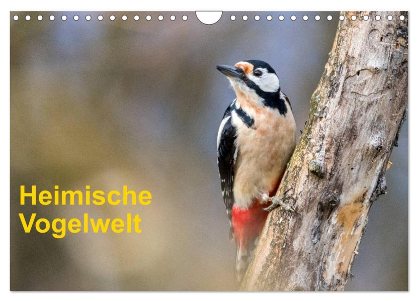 Heimische Vogelwelt (Wandkalender 2027 DIN A4 quer) CALVENDO Monatskalender