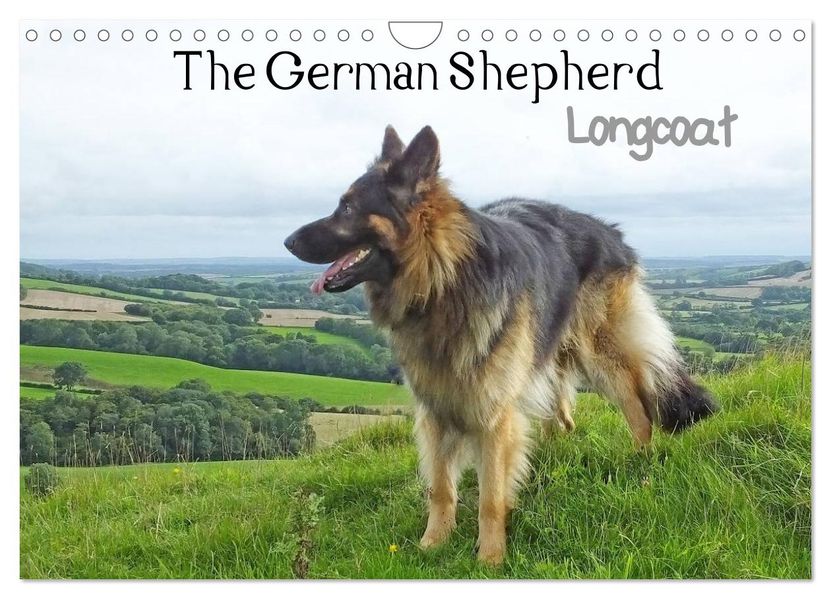 The German Shepherd Longcoat (Wall Calendar 2027 DIN A4 landscape) CALVENDO 12 Month Wall Calendar
