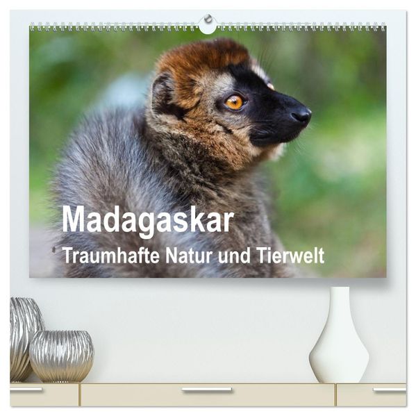 Madagaskar. Traumhafte Natur und Tierwelt (hochwertiger Premium Wandkalender 2027 DIN A2 quer) Kunstdruck in Hochglanz