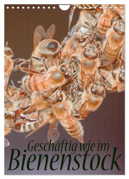 Geschäftig wie im Bienenstock (Wandkalender 2027 DIN A4 hoch) CALVENDO Monatskalender