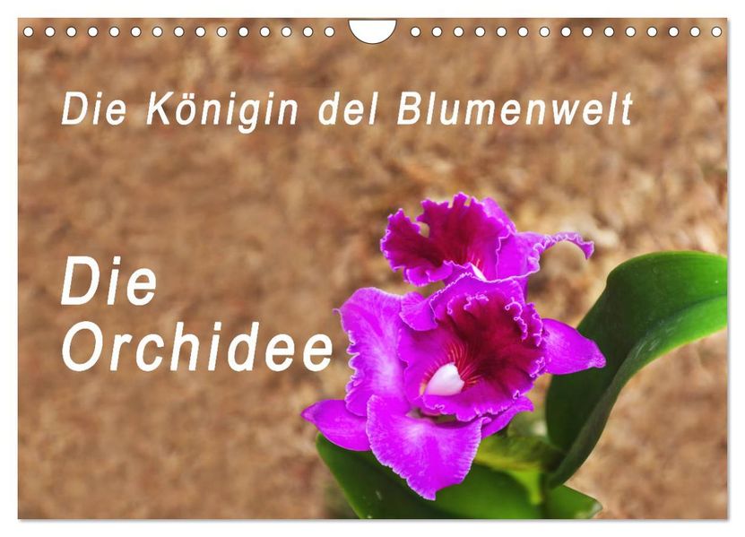 Die Königin der Blumenwelt die Orchidee (Wandkalender 2027 DIN A4 quer) CALVENDO Monatskalender
