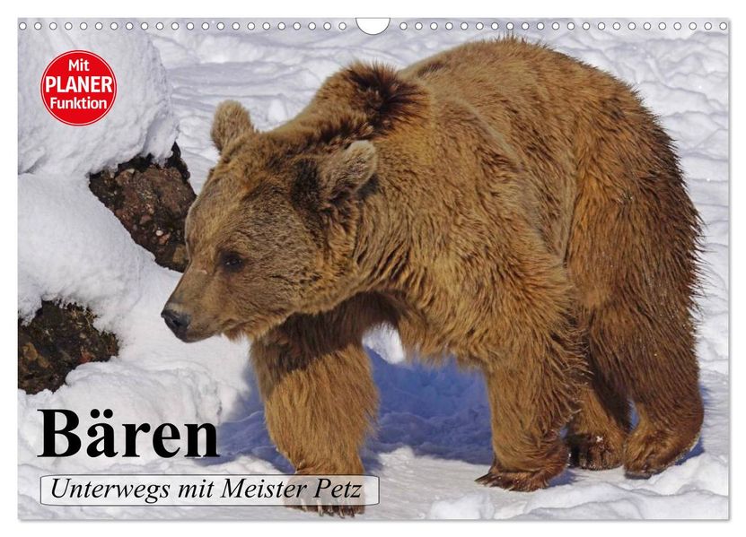 Bären. Unterwegs mit Meister Petz (Wandkalender 2027 DIN A3 quer) CALVENDO Monatskalender