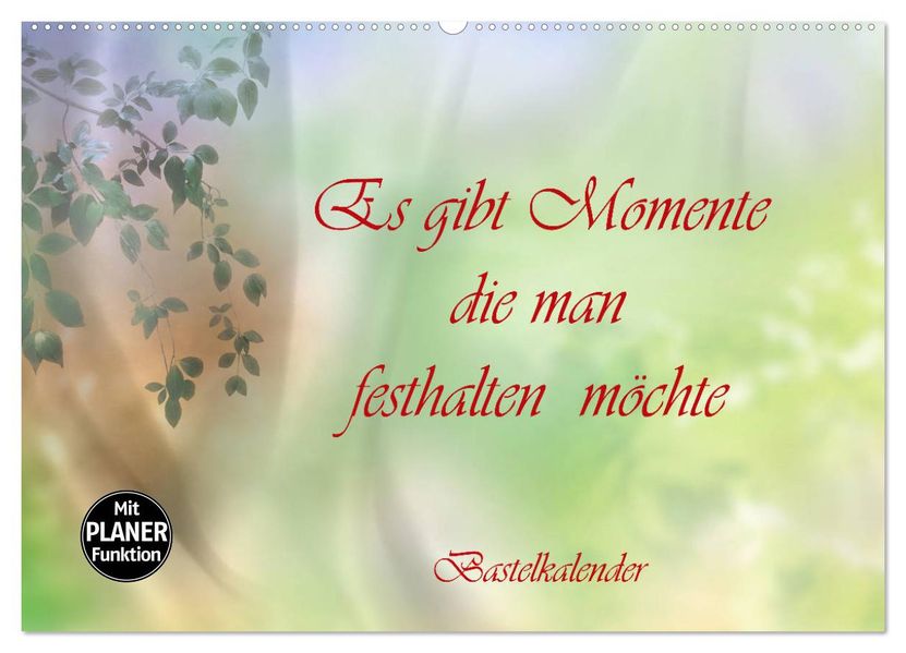 Es gibt Momente die man festhalten möchte (Wandkalender 2027 DIN A2 quer) CALVENDO Monatskalender