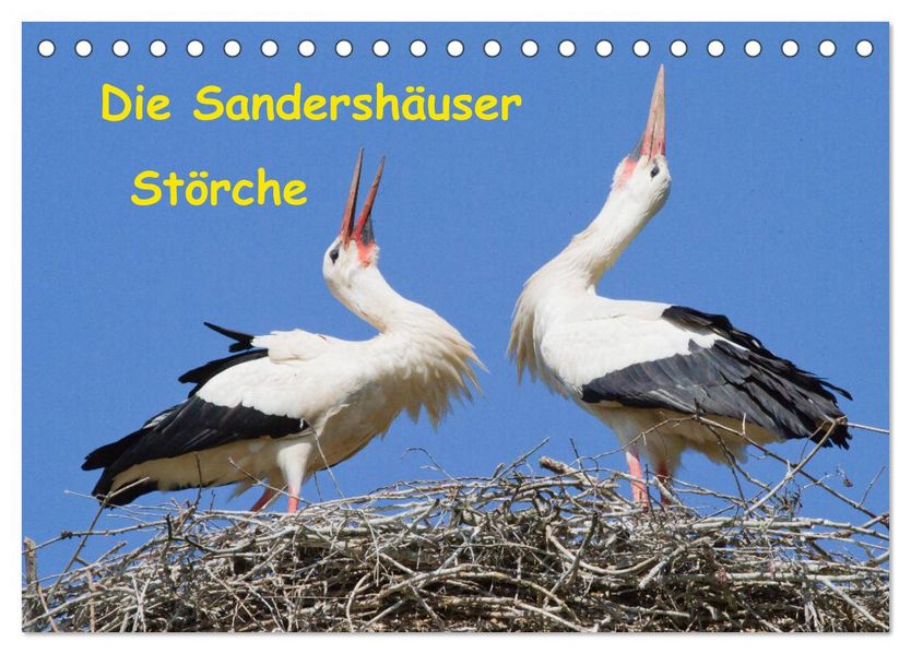 Die Sandershäuser Störche (Tischkalender 2027 DIN A5 quer) CALVENDO Monatskalender
