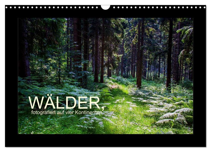 Wälder fotografiert auf vier Kontinenten (Wandkalender 2027 DIN A3 quer) CALVENDO Monatskalender