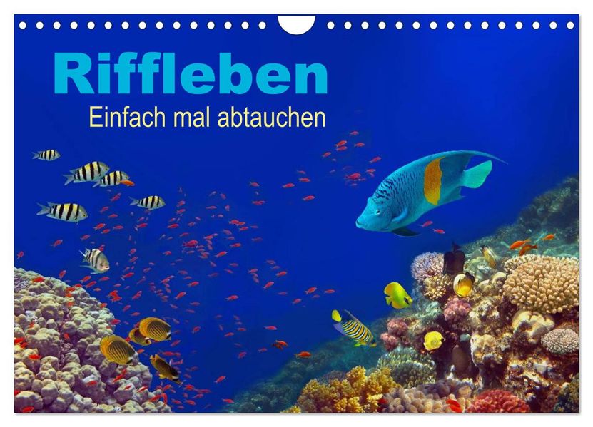 Riffleben - Einfach mal abtauchen (Wandkalender 2027 DIN A4 quer) CALVENDO Monatskalender