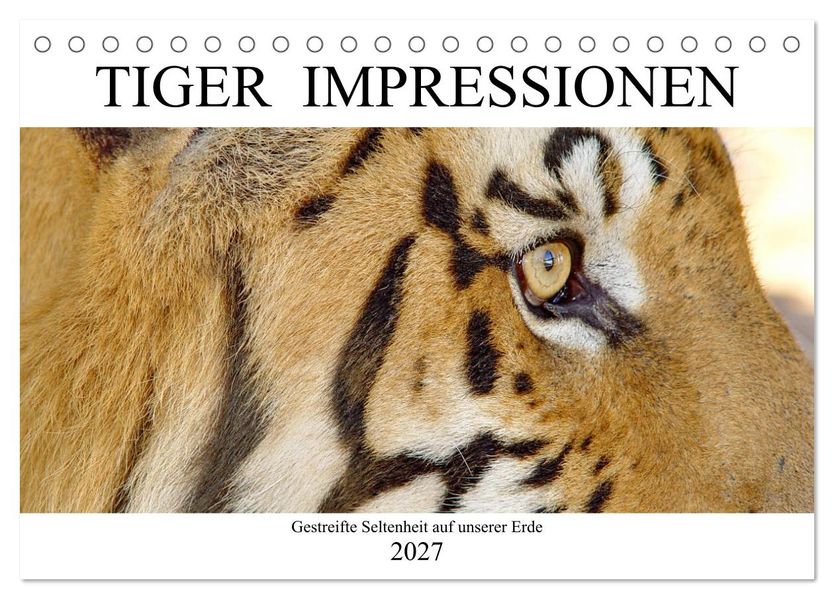 TIGER IMPRESSIONEN Gestreifte Seltenheit auf unserer Erde (Tischkalender 2027 DIN A5 quer) CALVENDO Monatskalender