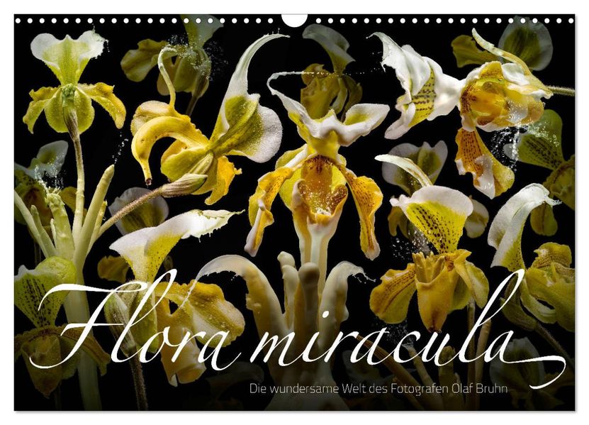 Flora miracula - Die wundersame Welt des Fotografen Olaf Bruhn (Wandkalender 2027 DIN A3 quer) CALVENDO Monatskalender