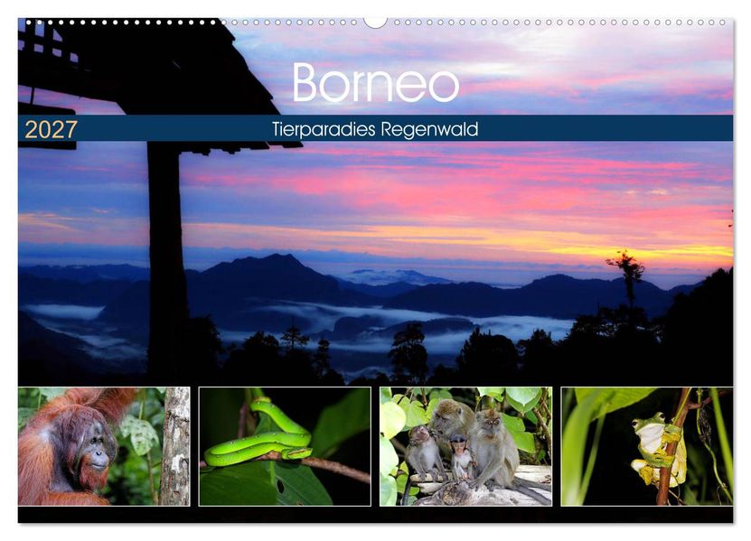 Borneo - Tierparadies Regenwald (Wandkalender 2027 DIN A2 quer) CALVENDO Monatskalender
