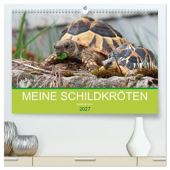 Meine Schildkröten (hochwertiger Premium Wandkalender 2027 DIN A2 quer) Kunstdruck in Hochglanz