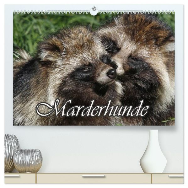 Marderhunde (hochwertiger Premium Wandkalender 2027 DIN A2 quer) Kunstdruck in Hochglanz