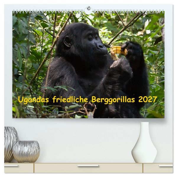 Ugandas friedliche Berggorillas (hochwertiger Premium Wandkalender 2027 DIN A2 quer) Kunstdruck in Hochglanz
