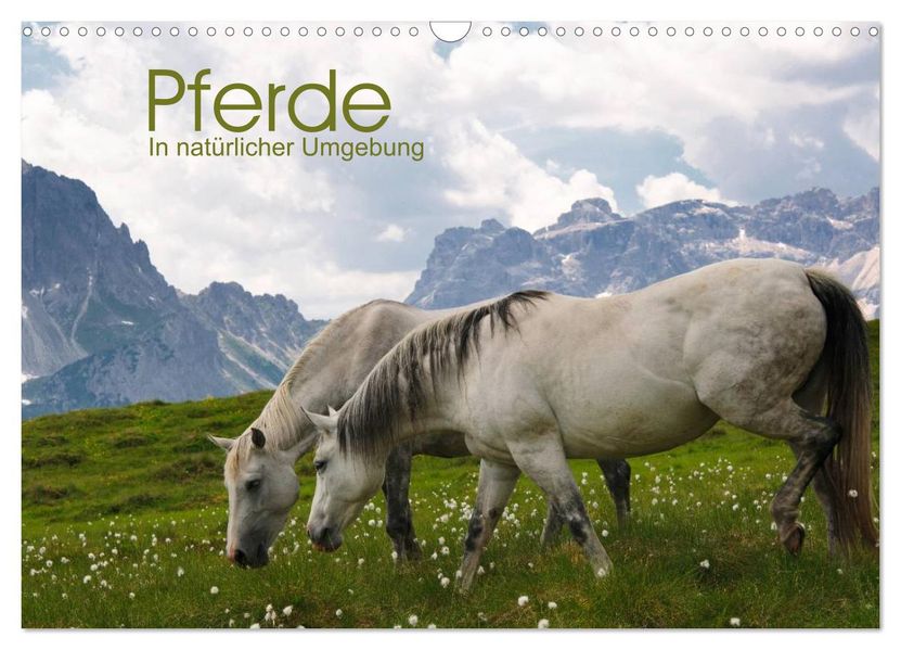 Pferde - In natürlicher Umgebung (Wandkalender 2027 DIN A3 quer) CALVENDO Monatskalender