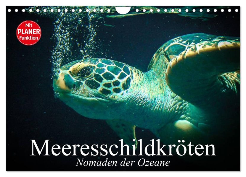 Meeresschildkröten. Nomaden der Ozeane (Wandkalender 2027 DIN A4 quer) CALVENDO Monatskalender