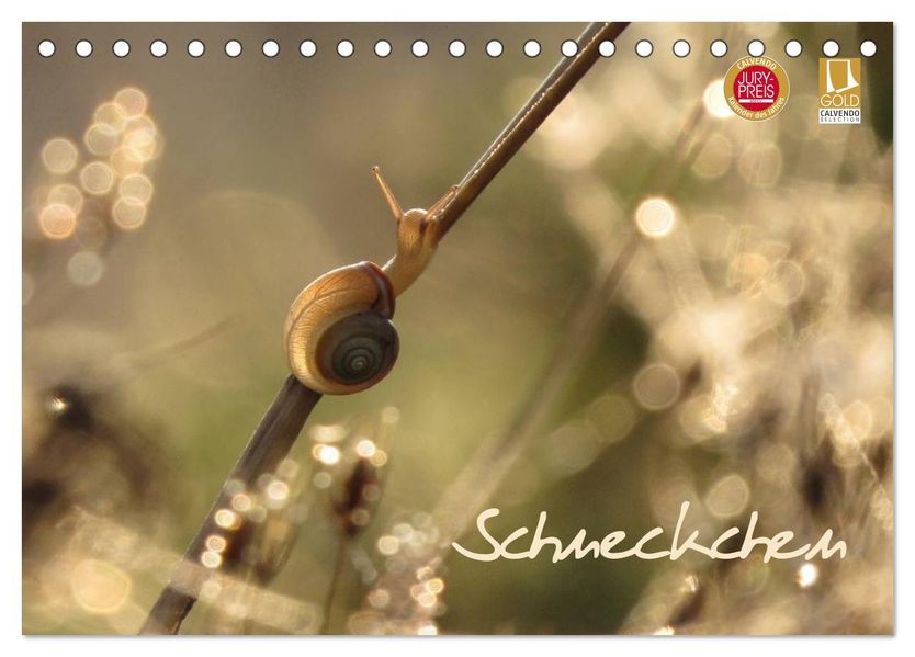 Schneckchen (Tischkalender 2027 DIN A5 quer) CALVENDO Monatskalender