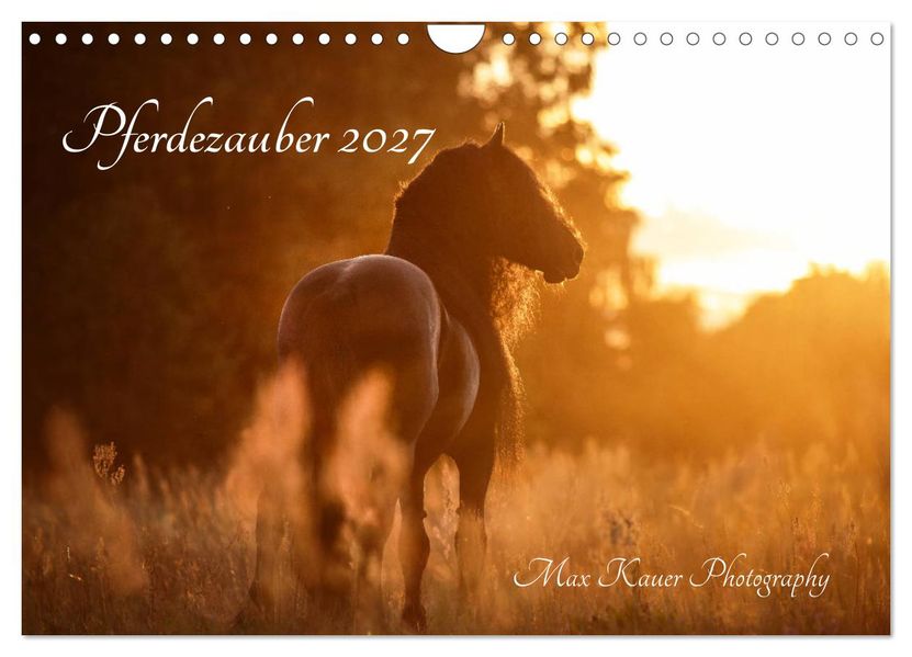 Pferdezauber 2027 (Wandkalender 2027 DIN A4 quer) CALVENDO Monatskalender