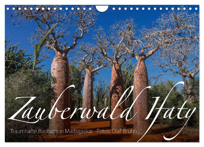 Zauberwald Ifaty · Traumhafte Baobabs in Madagaskar (Wandkalender 2027 DIN A4 quer) CALVENDO Monatskalender