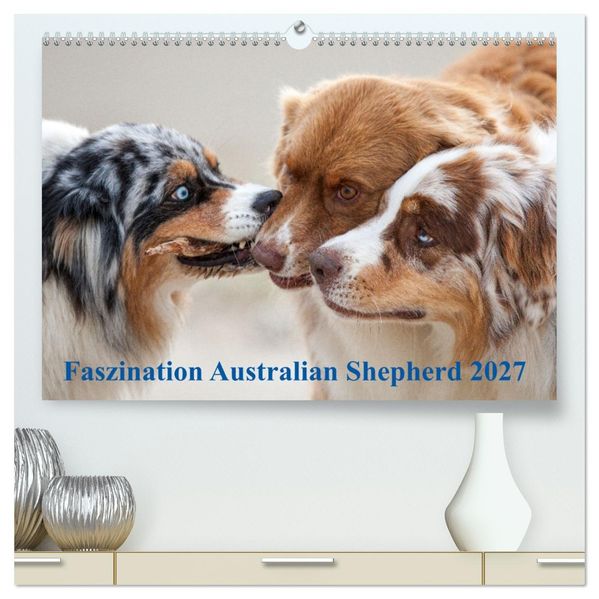 Australian Shepherd 2027 (hochwertiger Premium Wandkalender 2027 DIN A2 quer) Kunstdruck in Hochglanz