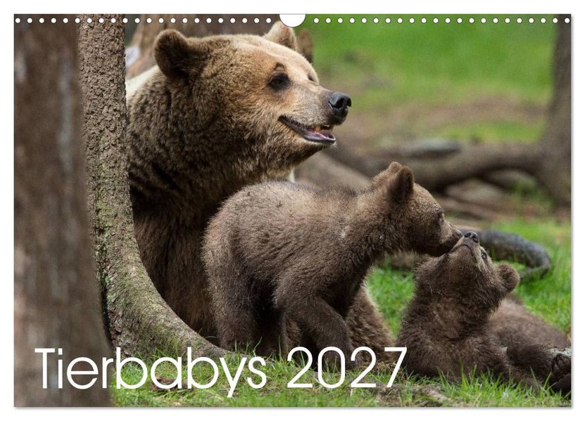 Tierbabys 2027 (Wandkalender 2027 DIN A3 quer) CALVENDO Monatskalender
