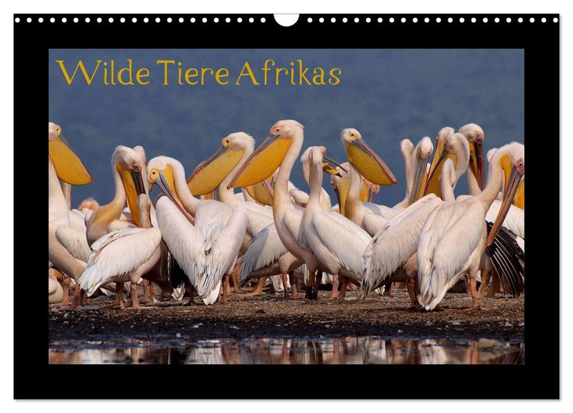 Wilde Tiere Afrikas (Wandkalender 2027 DIN A3 quer) CALVENDO Monatskalender