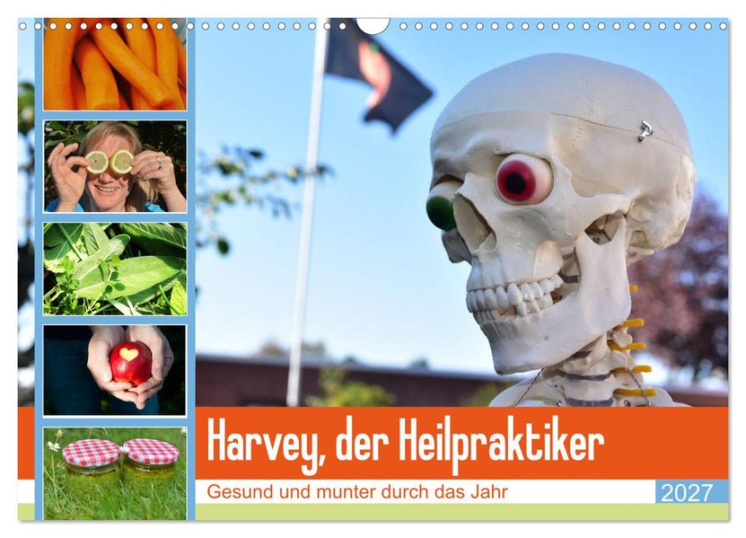 Harvey der Heilpraktiker (Wandkalender 2027 DIN A3 quer) CALVENDO Monatskalender