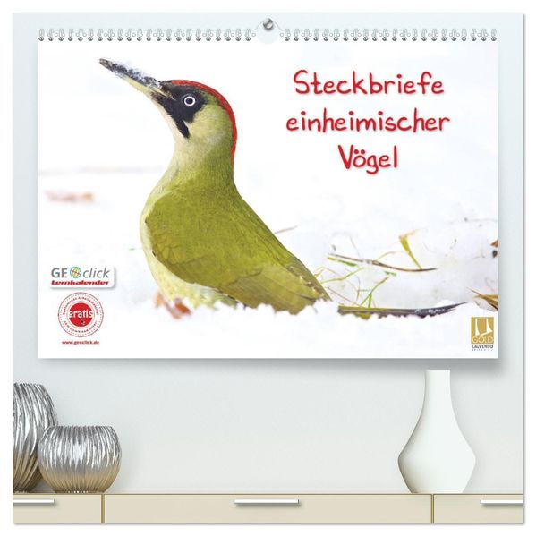 Steckbriefe einheimischer Vögel (hochwertiger Premium Wandkalender 2027 DIN A2 quer) Kunstdruck in Hochglanz
