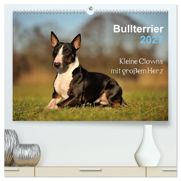 Bullterrier 2027 - Kleine Clowns mit großem Herz (hochwertiger Premium Wandkalender 2027 DIN A2 quer) Kunstdruck in Hochglanz
