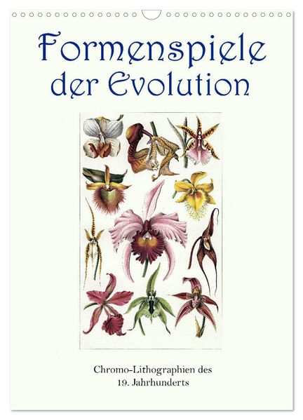 Formenspiele der Evolution. Chromolithographien des 19. Jahrhunderts (Wandkalender 2027 DIN A3 hoch) CALVENDO Monatskalender