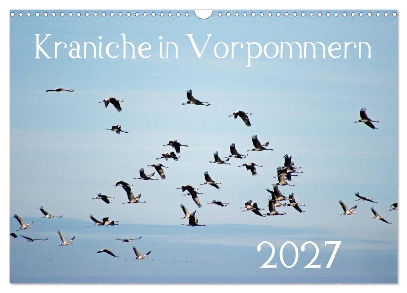 Kraniche in Vorpommern (Wandkalender 2027 DIN A3 quer) CALVENDO Monatskalender
