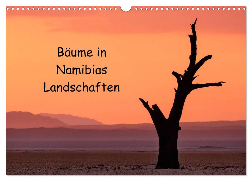 Bäume in Namibias Landschaften (Wandkalender 2027 DIN A3 quer) CALVENDO Monatskalender