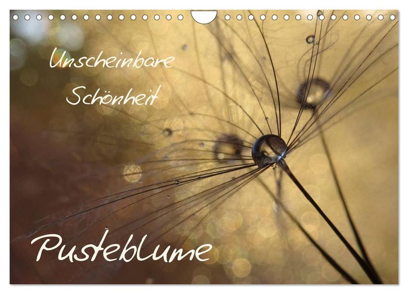 Unscheinbare Schönheit - Pusteblume (Wandkalender 2027 DIN A4 quer) CALVENDO Monatskalender