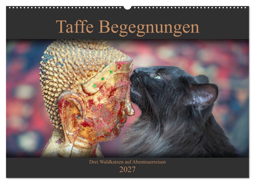 Taffe Begegnungen-Drei Waldkatzen auf Abenteuerreisen (Wandkalender 2027 DIN A2 quer) CALVENDO Monatskalender