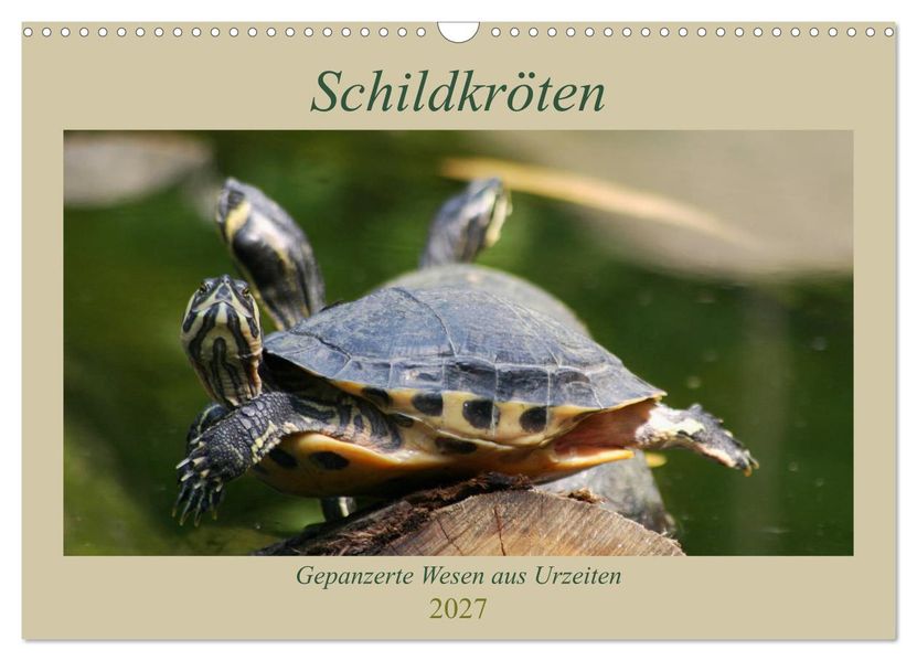 Schildkröten - Gepanzerte Wesen aus Urzeiten (Wandkalender 2027 DIN A3 quer) CALVENDO Monatskalender