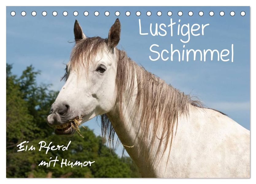 Lustiger Schimmel - ein Pferd mit Humor (Tischkalender 2027 DIN A5 quer) CALVENDO Monatskalender