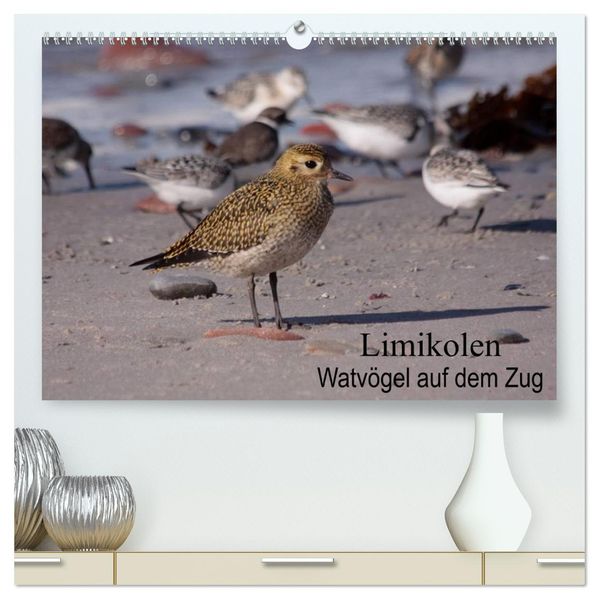 Limikolen Watvögel auf dem Zug (hochwertiger Premium Wandkalender 2027 DIN A2 quer) Kunstdruck in Hochglanz