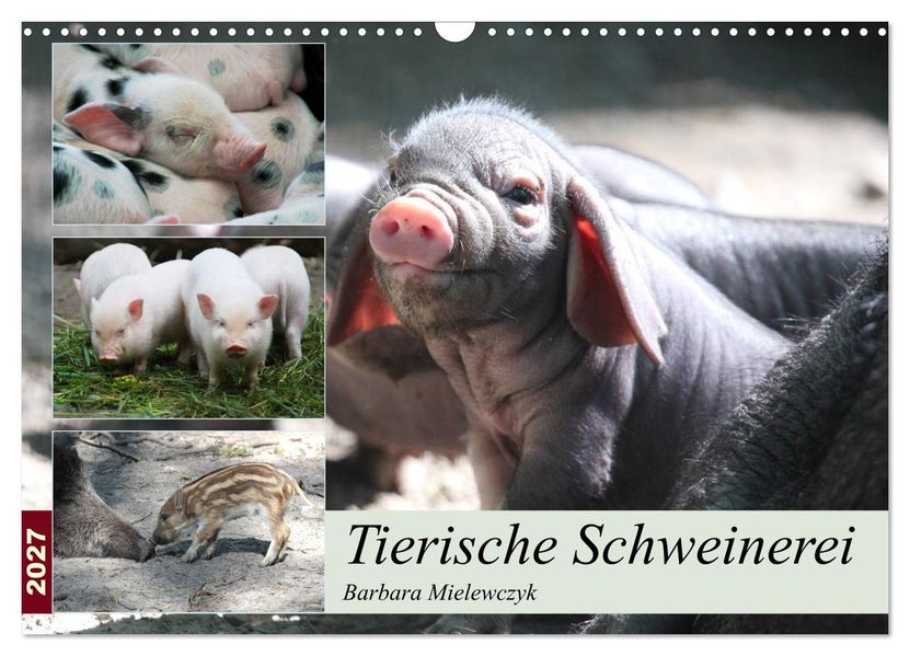 Tierische Schweinerei (Wandkalender 2027 DIN A3 quer) CALVENDO Monatskalender