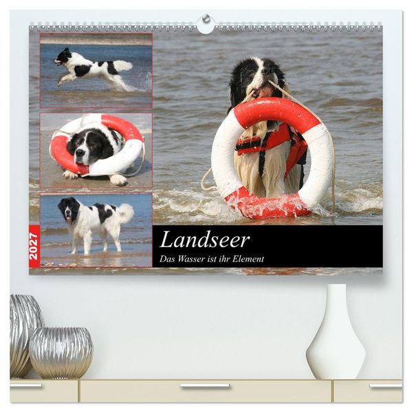 Landseer - Das Wasser ist ihr Element (hochwertiger Premium Wandkalender 2027 DIN A2 quer) Kunstdruck in Hochglanz