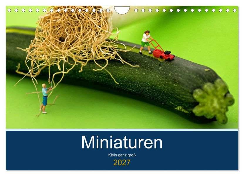 Miniaturen - Klein ganz groß (Wandkalender 2027 DIN A4 quer) CALVENDO Monatskalender