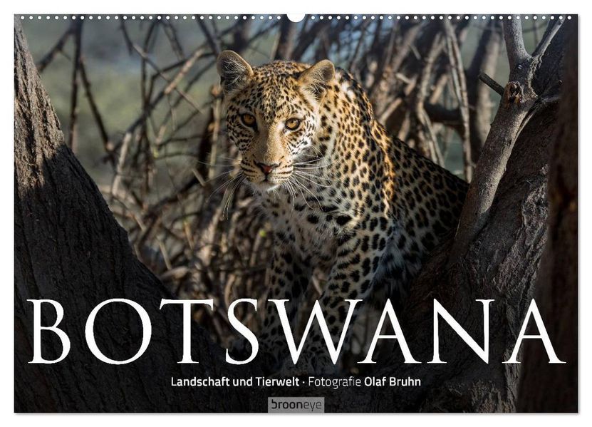 Botswana - Landschaft und Tierwelt (Wandkalender 2027 DIN A2 quer) CALVENDO Monatskalender