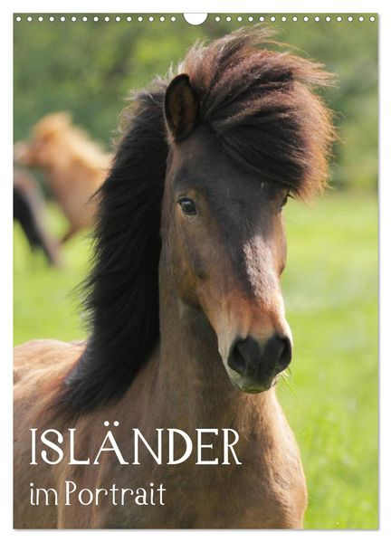 Isländer im Portrait (Wandkalender 2027 DIN A3 hoch) CALVENDO Monatskalender