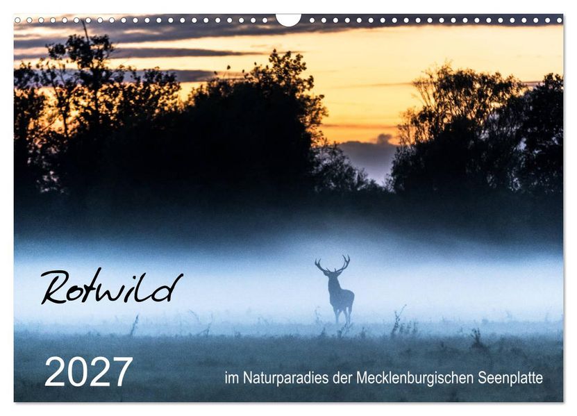 Rotwild - im Naturparadies der Mecklenburgischen Seenplatte (Wandkalender 2027 DIN A3 quer) CALVENDO Monatskalender
